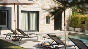 Pool - Villa Bino&Marija by Villas Guide (Sveti Lovrec)