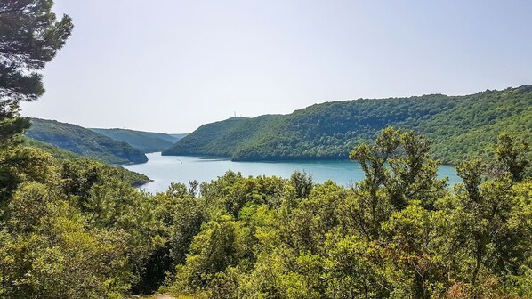 A natural landscape with a river, dense greenery, and hills.