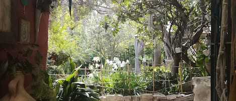 A stone-paved pathway leading to a garden with various plants and a hanging lantern.