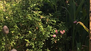 Une statue de Bouddha dans un jardin, avec un mur de pierre et des éléments en bambou.