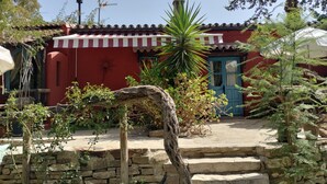 Un bâtiment rouge avec une porte bleue, entouré d’escaliers en pierre et de différentes plantes.