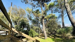 Un escalier en bois mène à une terrasse entourée d’arbres.