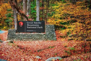 Property grounds - Tami's Dream: 3BR w/Hot Tub + Grill + Games | Great Location! (Kodak)