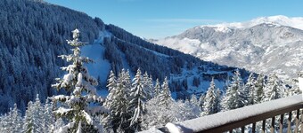 Fabulous 2 Bedroom Ski In / Out Apartment with West facing balcony