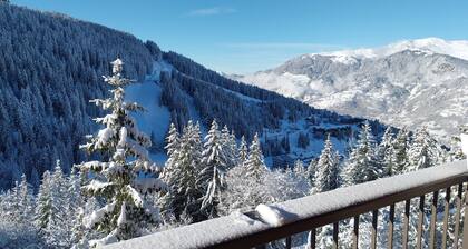 Fabulous 2 Bedroom Ski In / Out Apartment with West facing balcony