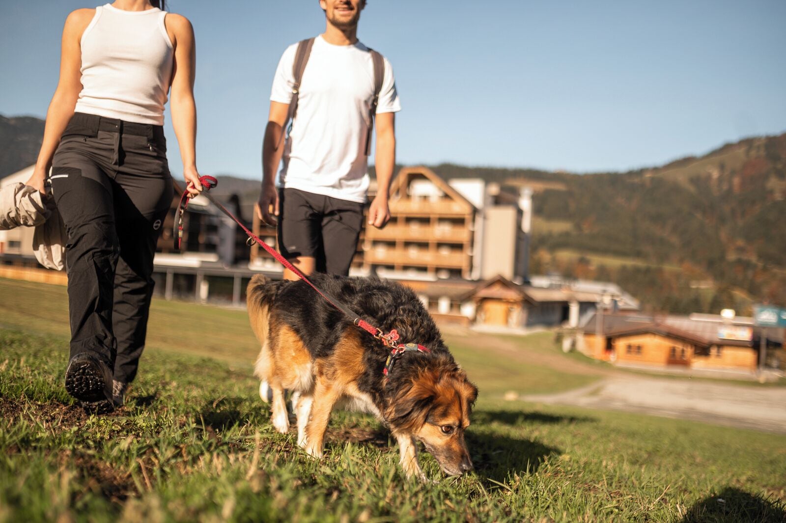 Twee personen wandelen met een hond over een grasveld, met gebouwen op de achtergrond.