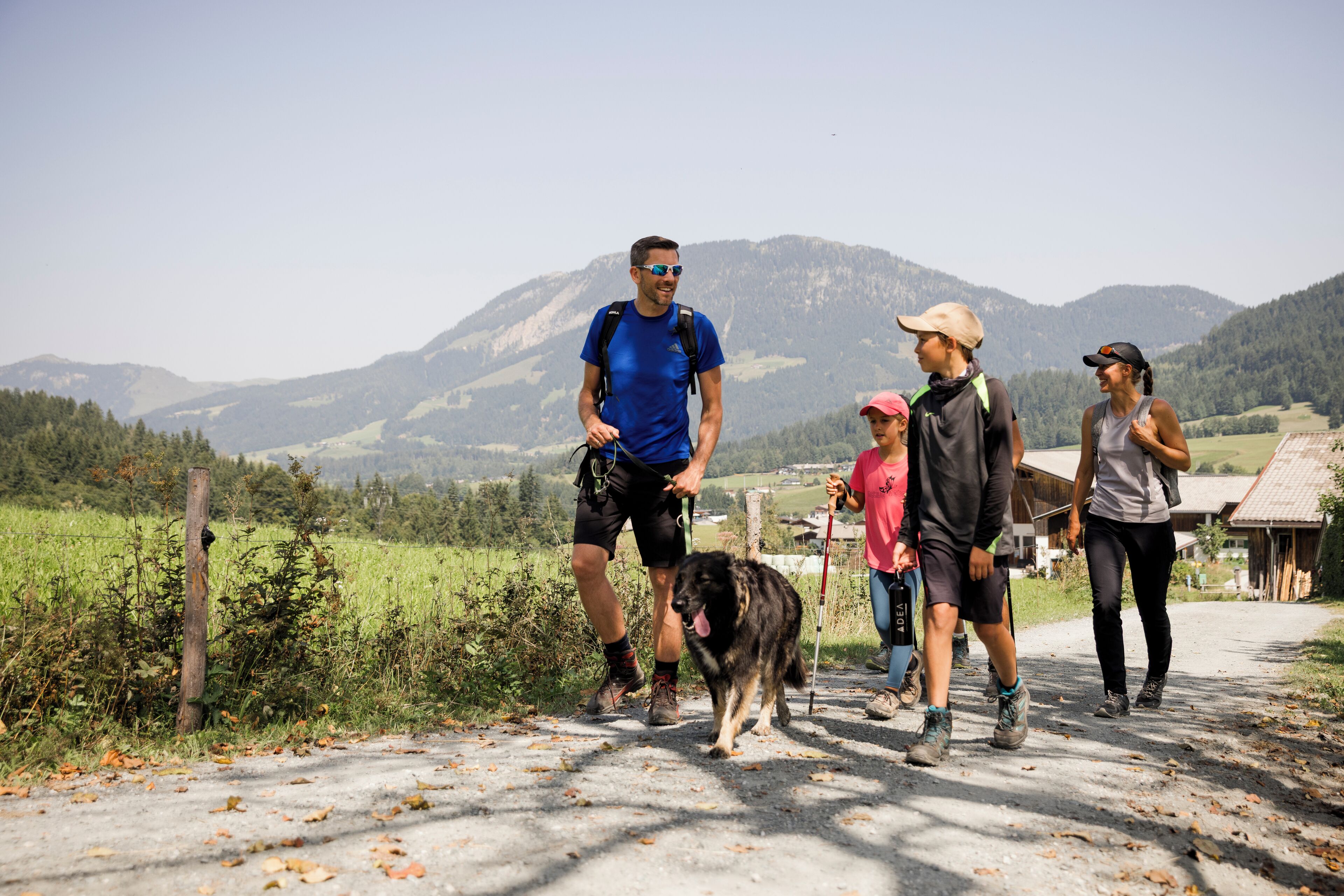 Un grupo de personas caminando por un sendero de tierra con un perro, rodeado de vegetación y montañas al fondo.