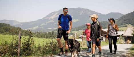 Un grupo de personas caminando por un sendero de tierra con un perro, rodeado de vegetación y montañas al fondo.
