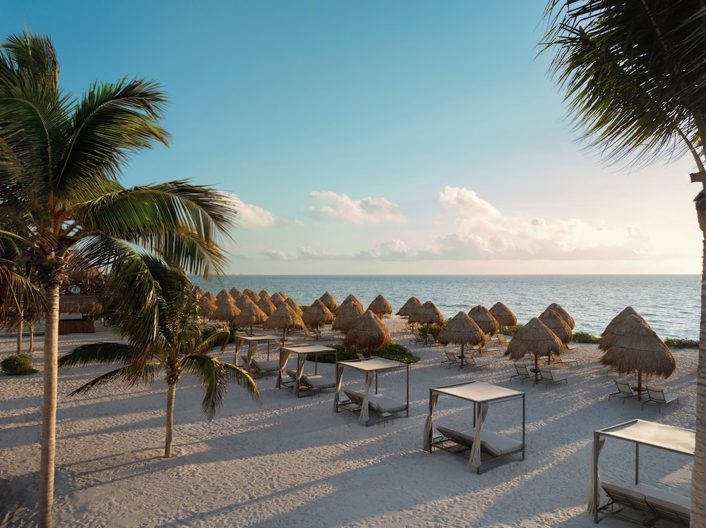 Excellence Playa Mujeres by null