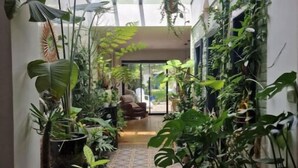 Un pasillo estrecho con suelo de baldosas que conduce a una habitación con una silla y una mesa. El pasillo está bordeado de plantas en macetas y tiene un techo de cristal.
