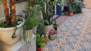 Un patio con diversas macetas de plantas y suelo de baldosas.