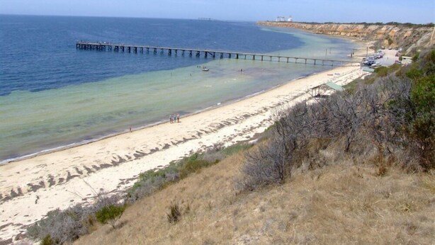 Ein Strand mit einer langen Seebrücke, einem sandigen Ufer und einer hügeligen Landschaft im Hintergrund.