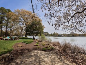 Property grounds - Minutes from Downtown St. Michaels | Guest House | Pool | Private Dock (St. Michaels)