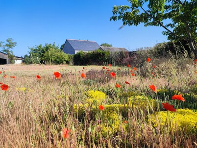 Ecurie Rénovée à la Campagne, Simplicité & Calme, Proche Loire, Châteaux & vin