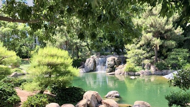 A serene garden with a pond, rocks, and a waterfall. - 2BR Central Phoenix - Backyard - Near Sky Harbor (Phoenix)