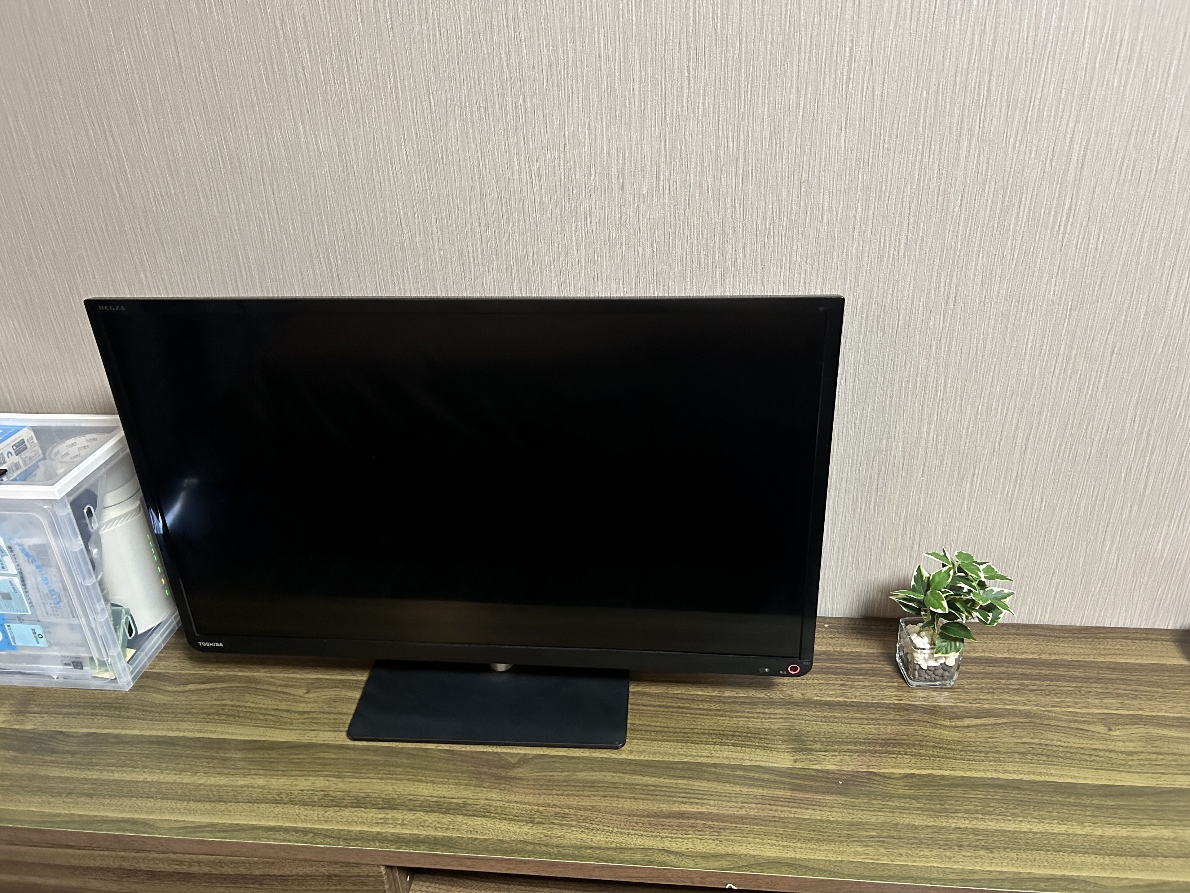 A flat-screen TV on a wooden surface with a small plant beside it.