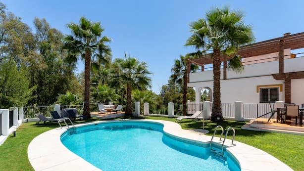 Une piscine avec des chaises longues et des palmiers.