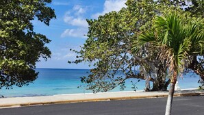A coastal road with a clear view of the ocean and a palm tree in the foreground.
