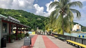 A wooden boardwalk leading to a Starbucks coffee shop with a red carpet, palm trees, and a view of a hill and water body. - Beachfront Escape (Ocho Rios)