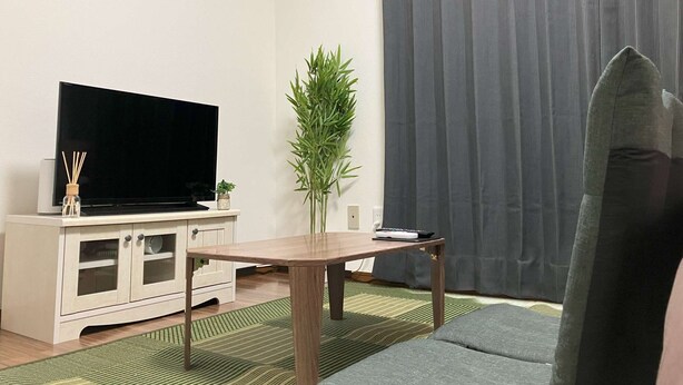 Una sala de estar con una televisión de pantalla plana sobre un mueble, una planta verde, un sofá gris y una cortina oscura.