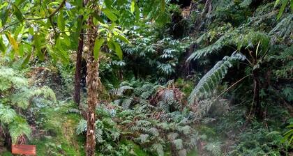 Modern 2BR Flat & Parking - 5 min to Airport & BBQ