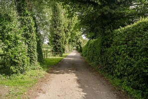 Photo non classée, 3 sur 38, bouton