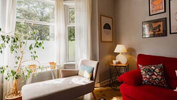 TV connectée, cheminée