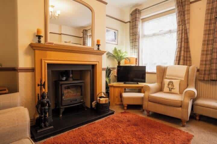 تلفزيون، مدفأة