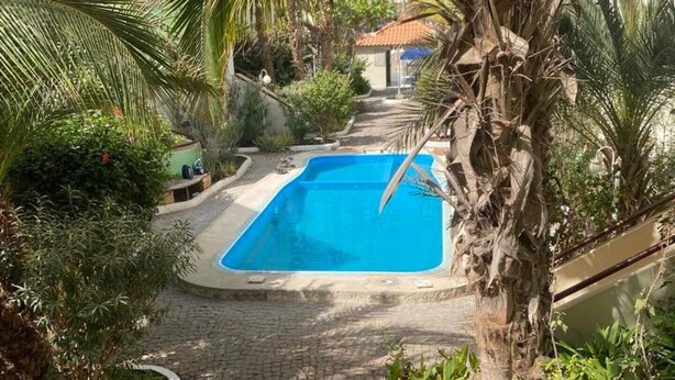 A pool surrounded by palm trees and greenery, with a tiled pathway leading to it.