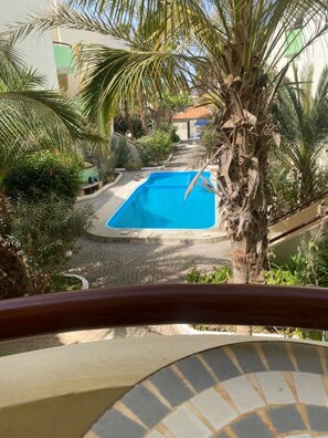 Una piscina rodeada de palmeras y vegetación, con un camino empedrado que lleva a ella.