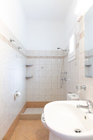 Ducha, secador de pelo, toallas, papel higiénico