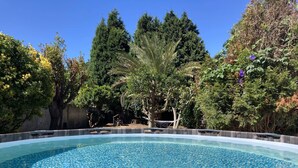 Une piscine à l’eau d’un bleu limpide, entourée d’une végétation luxuriante et d’arbres.