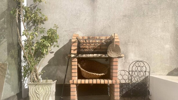 Un arbre à chat avec un panier et un jouet suspendu, une plante en pot et une barrière métallique.