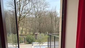 A view through a glass door to a wooden deck with a metal railing, overlooking a body of water and trees.
