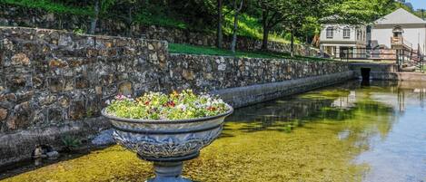 Terrein van de accommodatie