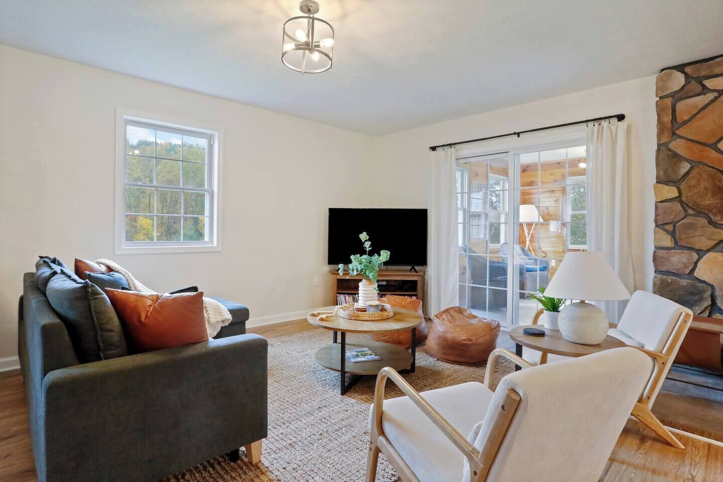 Smart-tv, pejs, videospil, dvd-afspiller