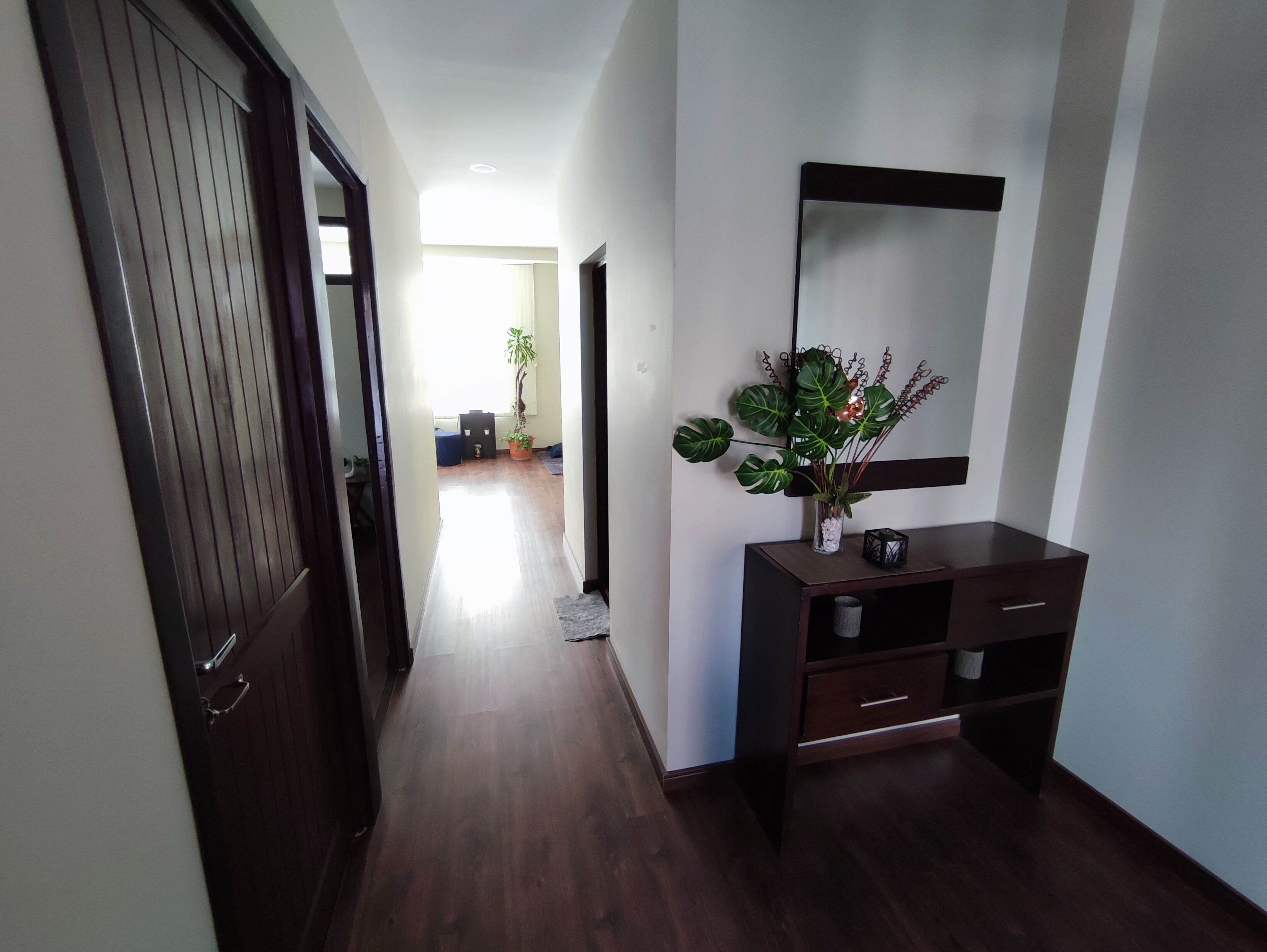 A hallway with a wooden floor, a dark wooden door, a dark wooden console table with a mirror, and a potted plant.
