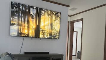 Smart TV, fireplace, books