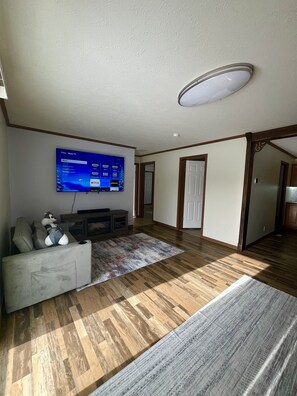 Smart TV, fireplace, books