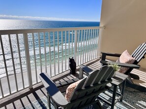 Property grounds - Majestic Tower 1 Direct Beachfront 2 BR, 2 BA (Panama City Beach)