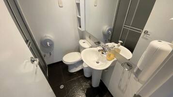 Shower, towels, toilet paper