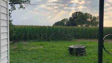 Área da propriedade