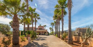 A pathway lined with palm trees leading to a building with a pink facade.