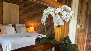 Une chambre d’hôtel avec un mur en briques, un cadre de lit en bois, du linge de lit blanc et une grande plante en pot ornée de fleurs blanches.