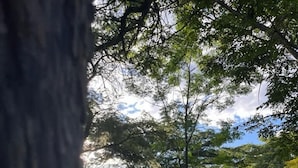 Un espace vert avec une aire de jeux comprenant des balançoires et un kiosque.