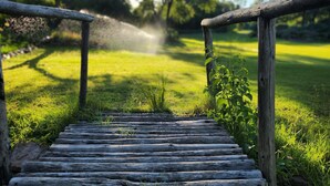 Un sentier en bois mène à une zone herbeuse, avec des arbres en arrière-plan.