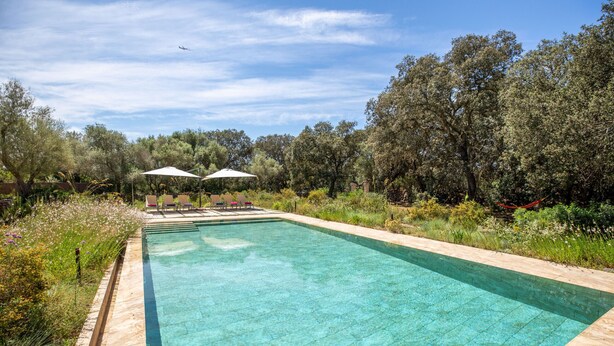 A rectangular swimming pool with a tiled edge, surrounded by lush greenery and trees. There are two white umbrellas providing shade. - Camadix, Finca 5StarsHome Mallorca (Costitx)