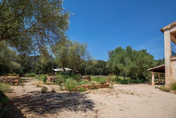 المنطقة المحيطة بالمنشأة