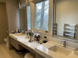 Shower, hair dryer, bidet, towels