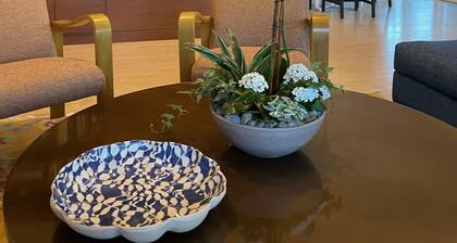 Extraordinary mid-century gem near Metro and embassies.